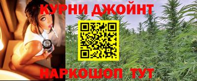 гашик Кулебаки